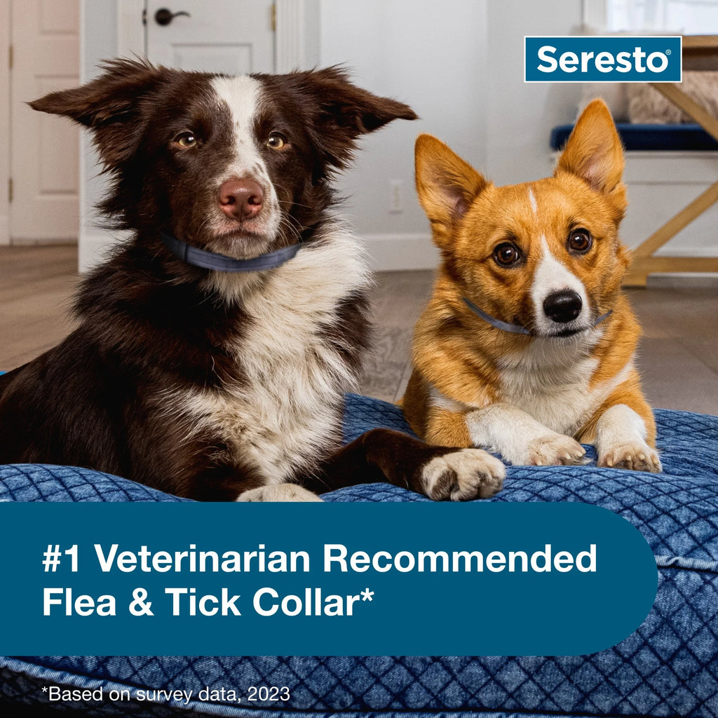 Small Dog 8-Month Flea & Tick Prevention Collar V639974