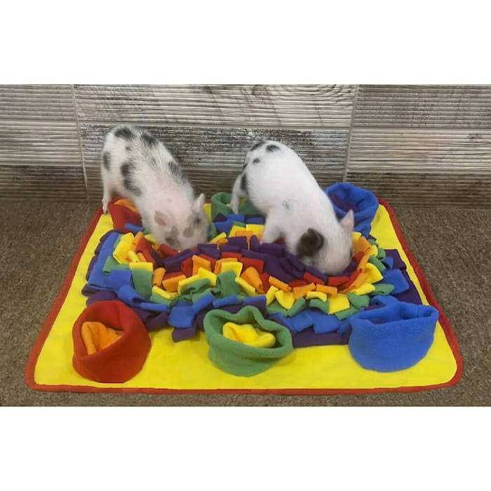 Snuffle Mat D9418