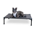 Elevated Pet Bed N704