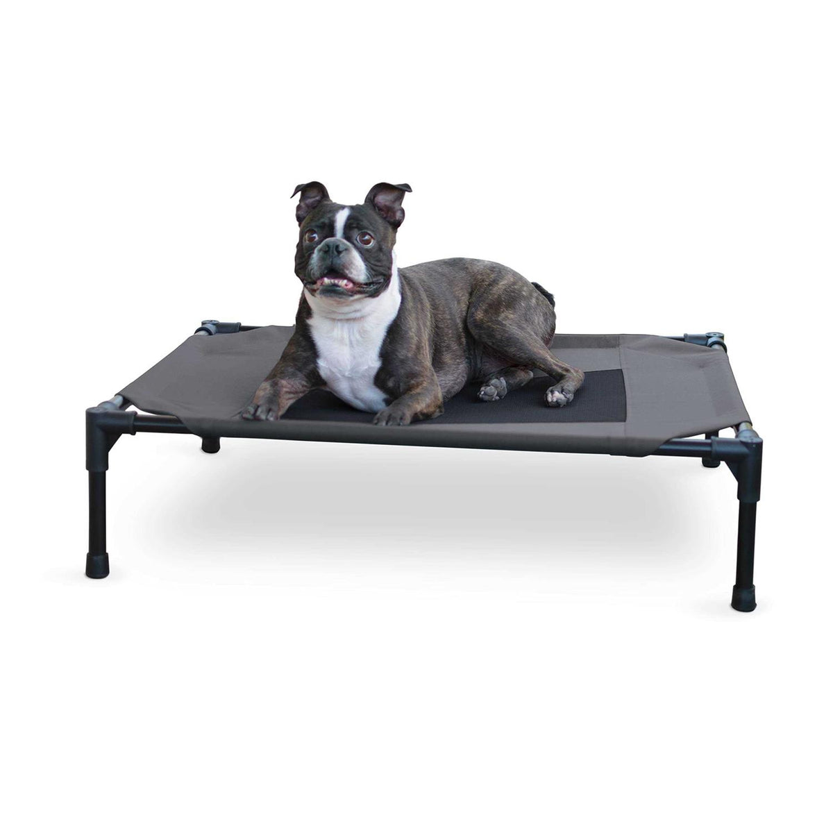 Elevated Pet Bed N704