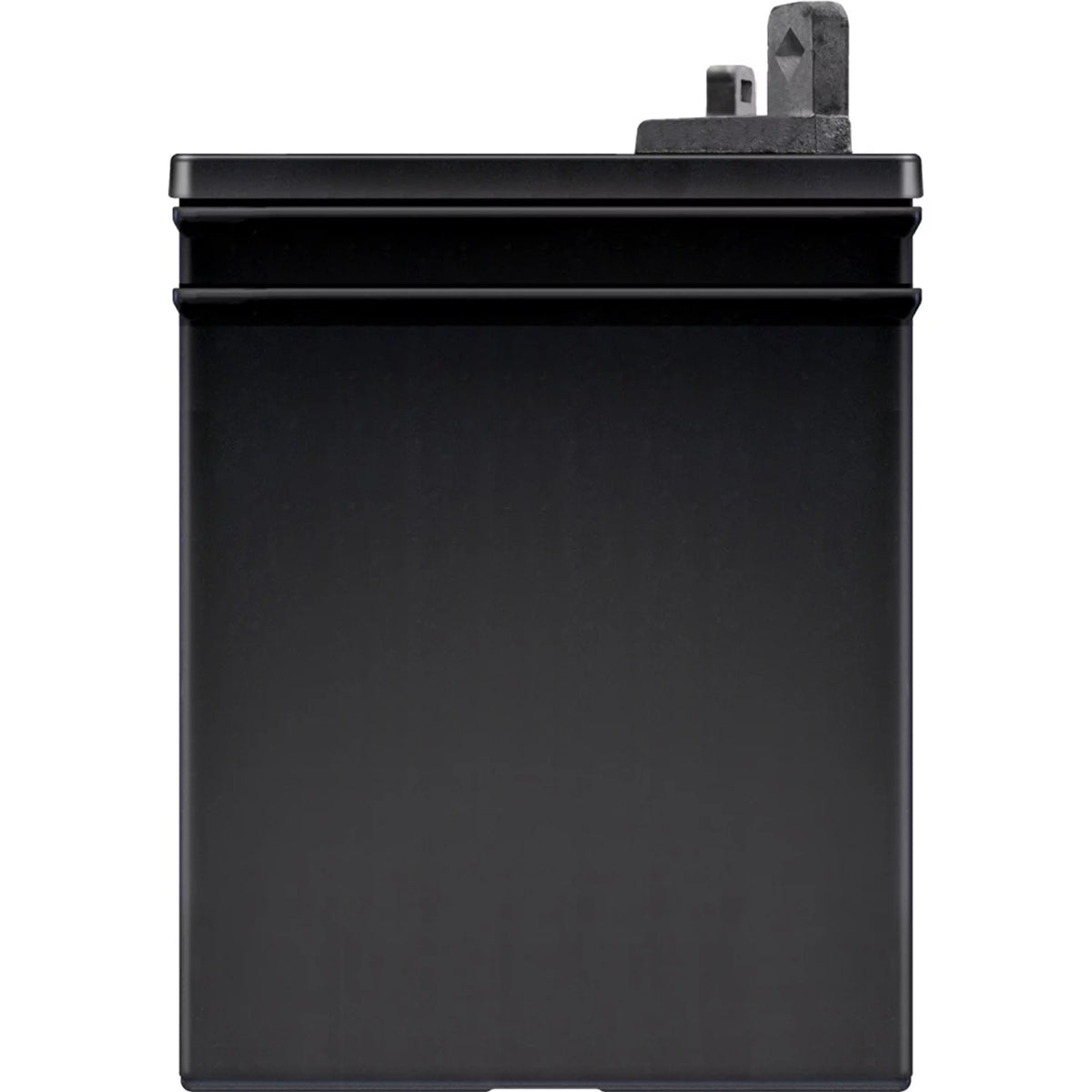 Lawn and Garden Lead Acid Battery, Group Size U1P 12 Volt, 275 CCA T1331