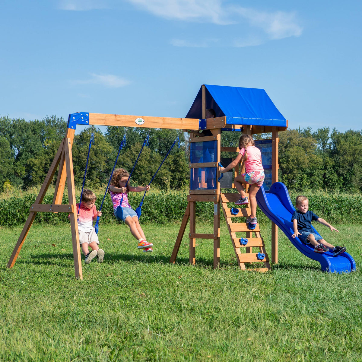 Wooden Cedar Swing Set W161