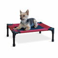 Elevated Pet Bed O257031