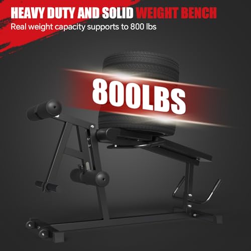 Leg Extension and Leg Curl Machine I232