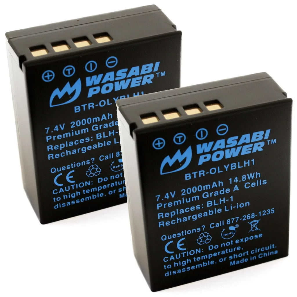 2-Pack Battery P569
