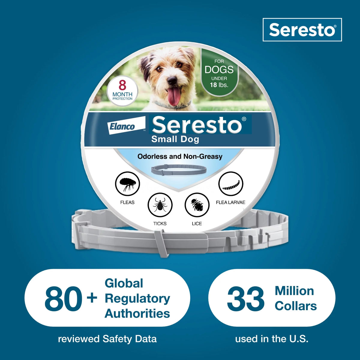 Small Dog 8-Month Flea & Tick Prevention Collar V639974