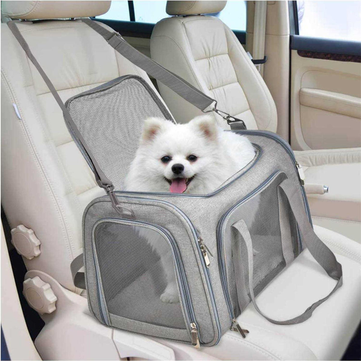 Pet Carrier D85754