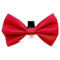 Dog Collar with Removable Bow Tie X833265