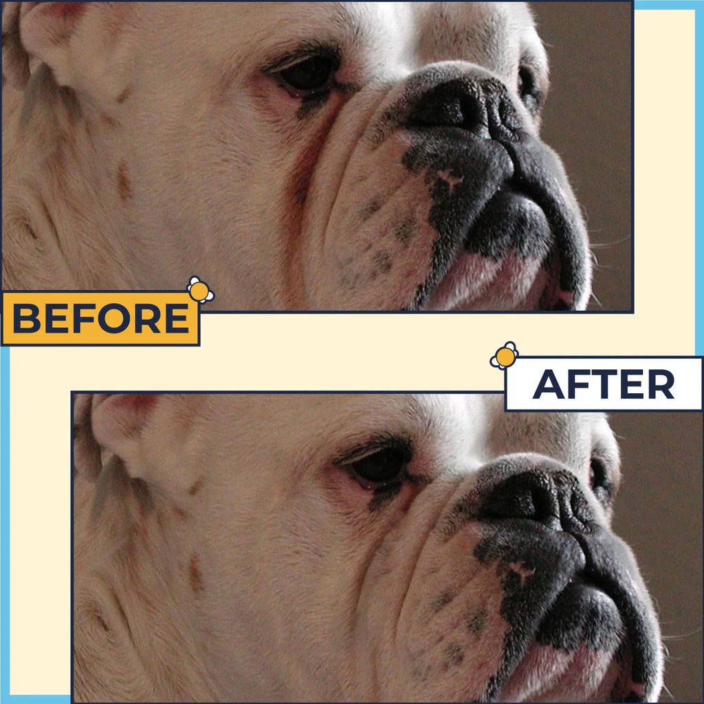 2 Oz Wrinkle Cream and 50 Wrinkle Wipes for Bulldogs P545
