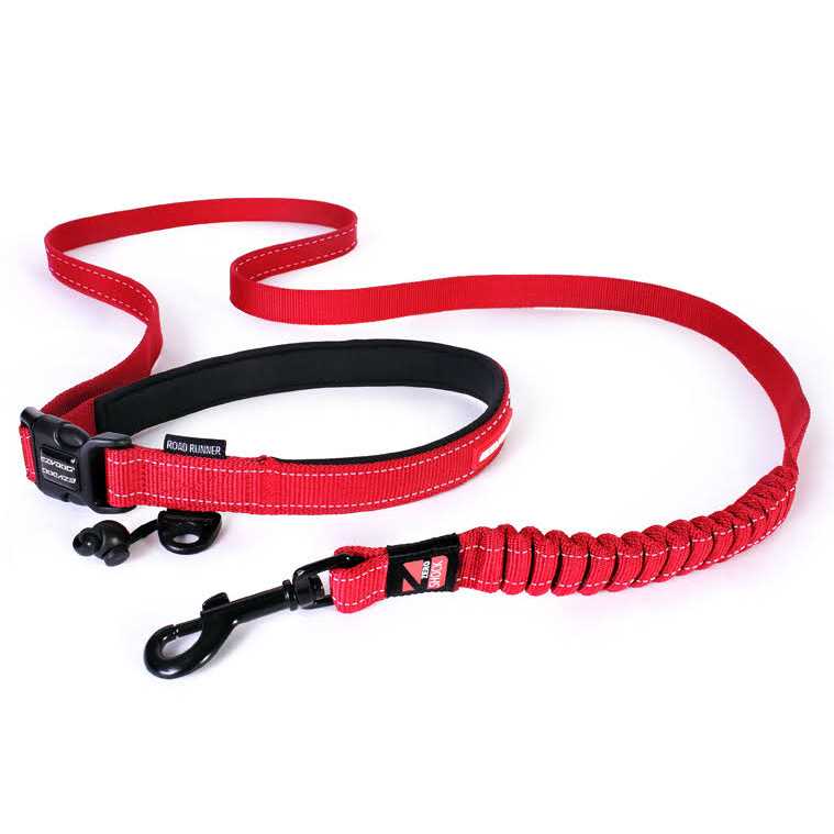 Leash A132