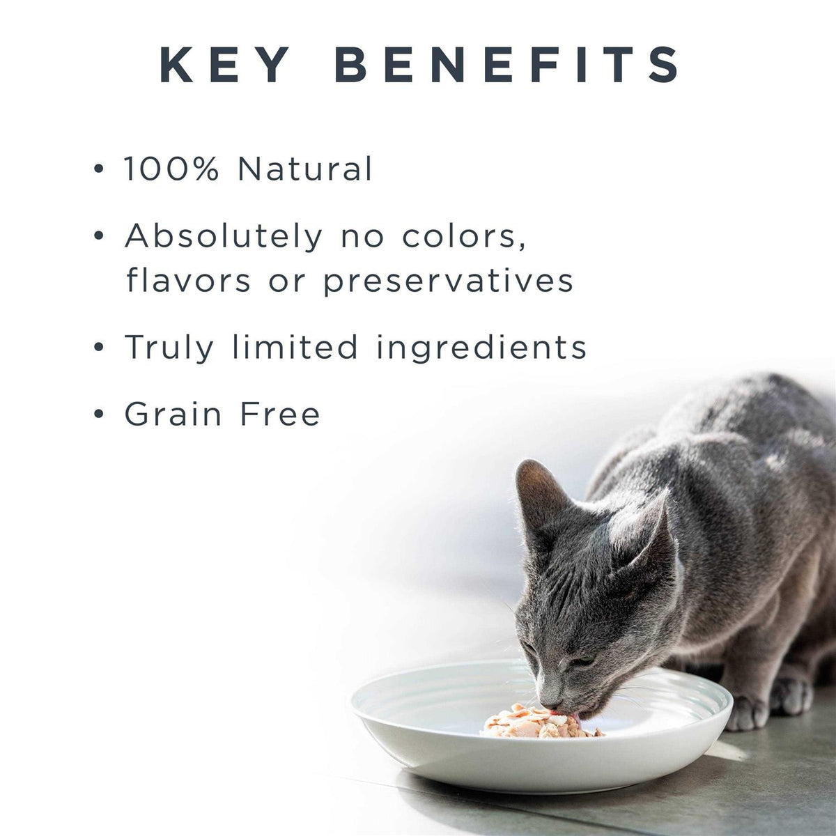 Grain Free Chicken Selection in Broth Cat Food D633