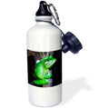 Sports Water Bottle 21oz Y15518