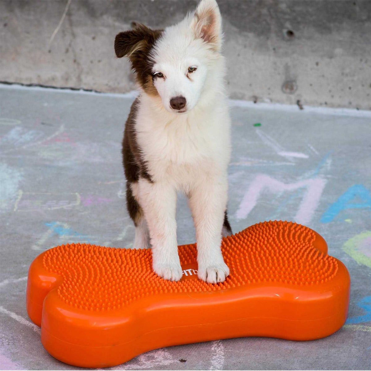 Agility Training W7860