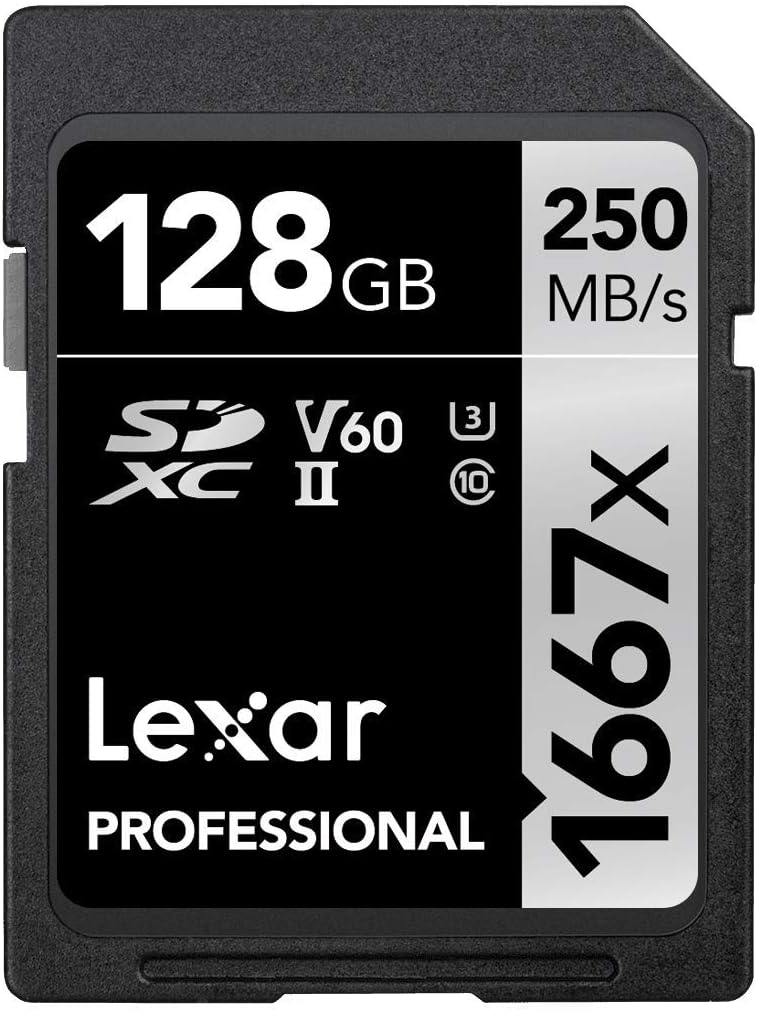 256GB SDXC UHS-II Card S8794