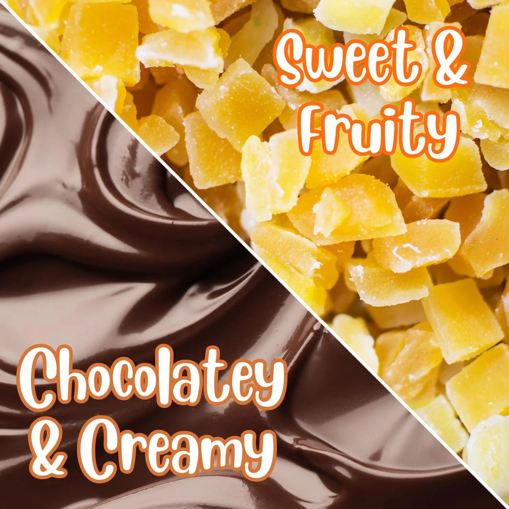 Dark Chocolate Covered Dried Mango 60 OZ Vegan Non-Dairy Kosher Q815028