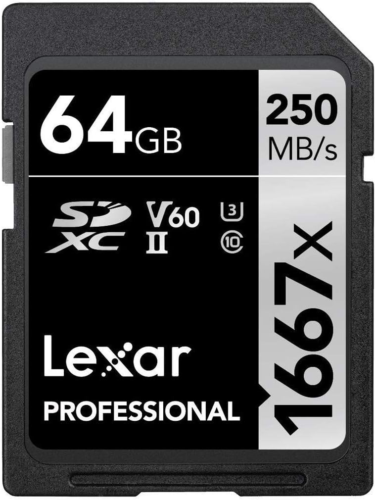 256GB SDXC UHS-II Card S8794