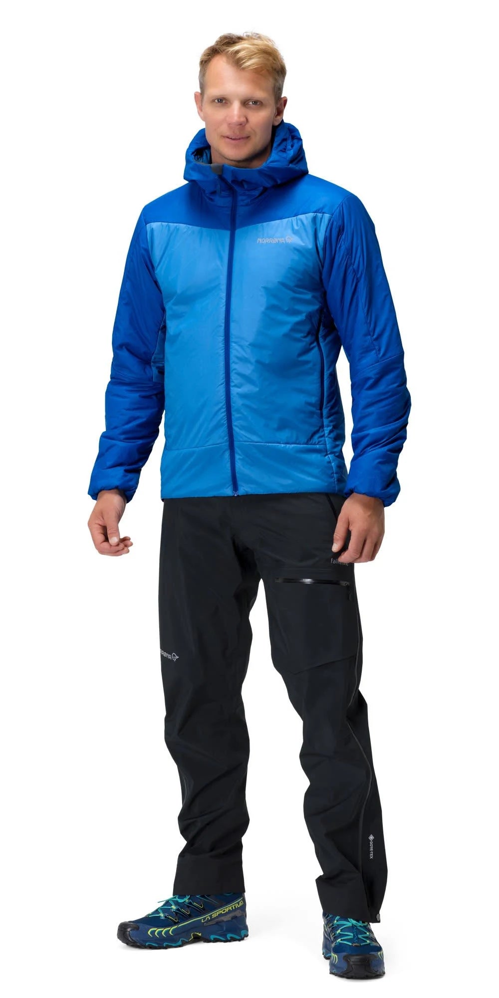 Campanula Hood Y460061