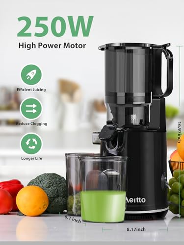 Cold Press Juicer with 5.3" Wide Mouth 250W Q783