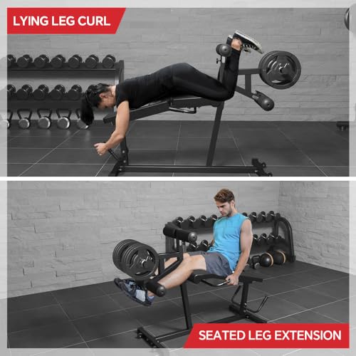 Leg Extension and Leg Curl Machine I232