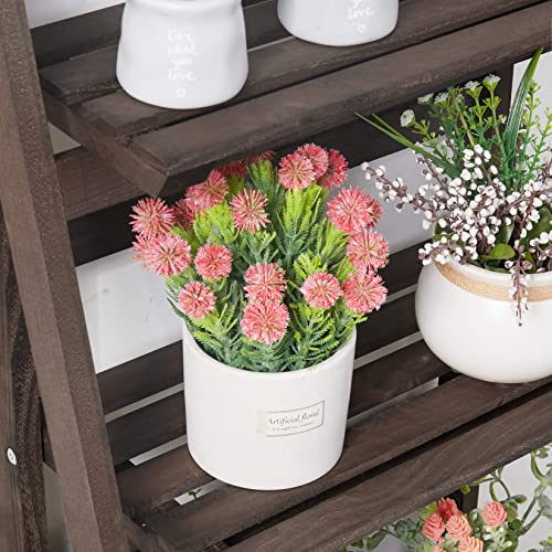 4 Tier Wooden Plant Stand H845