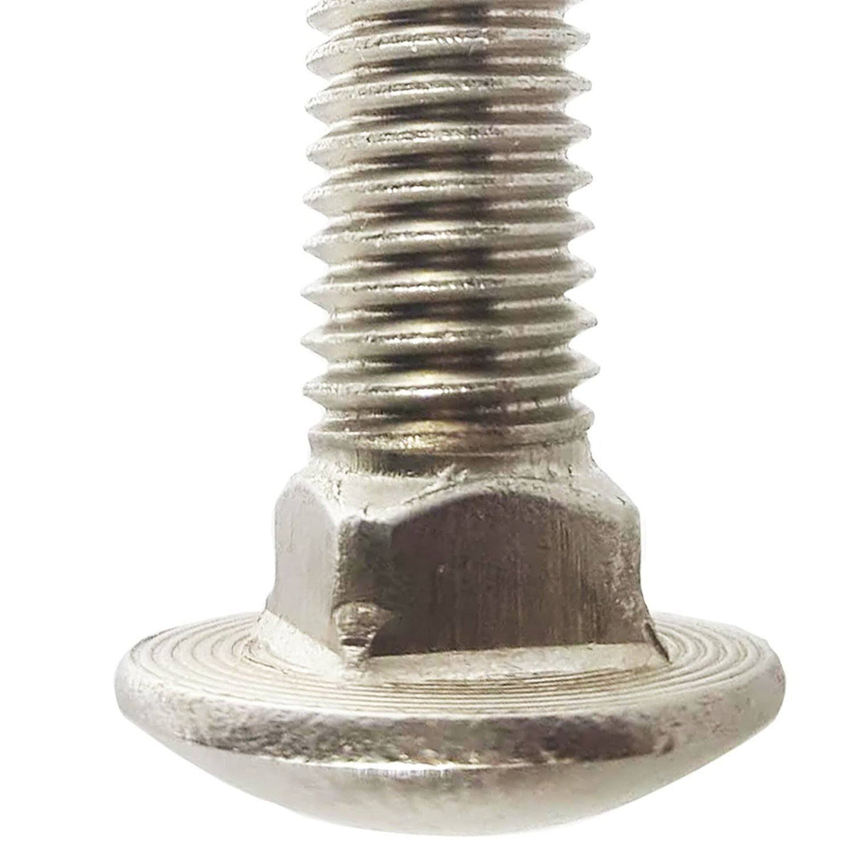 5/8-11 x 4x22 Stainless Steel Carriage Bolts Qty 5 K181345