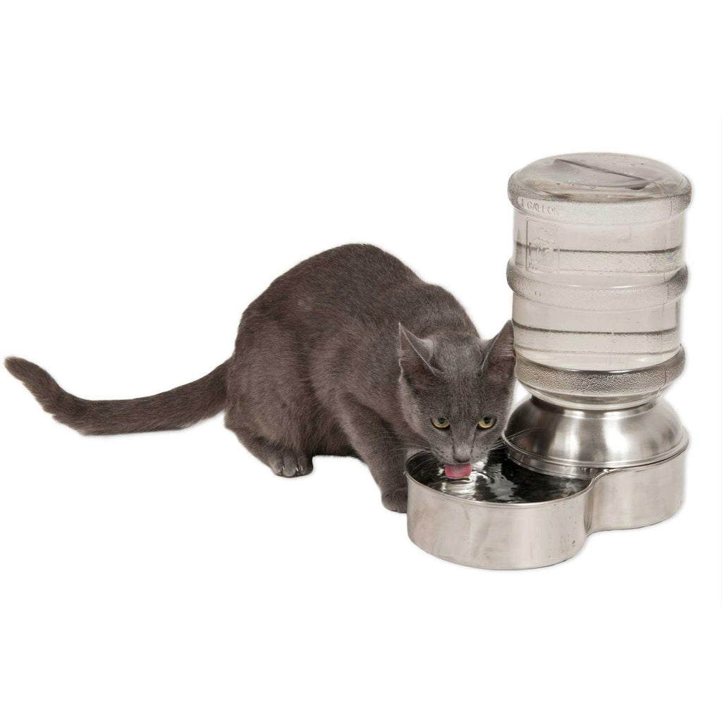 Stainless Steel Waterer N3814