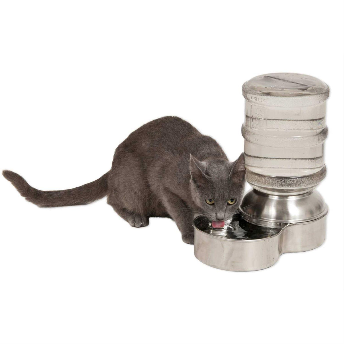 Stainless Steel Waterer N3814