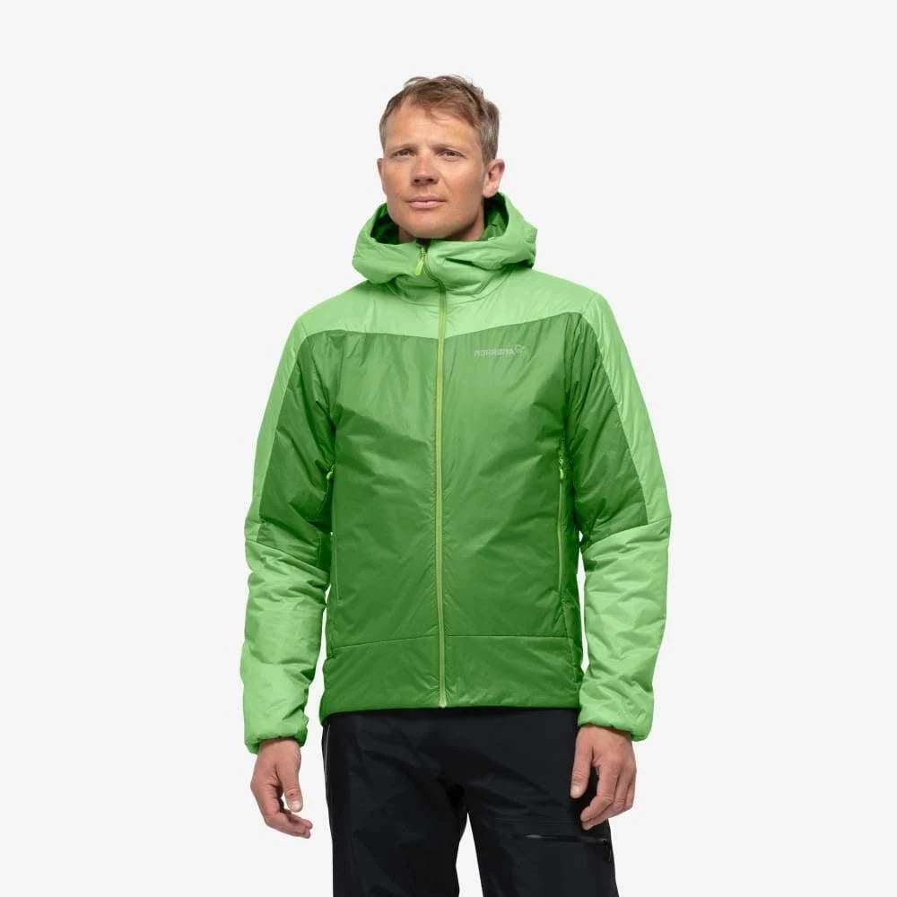 Campanula Hood Y460061
