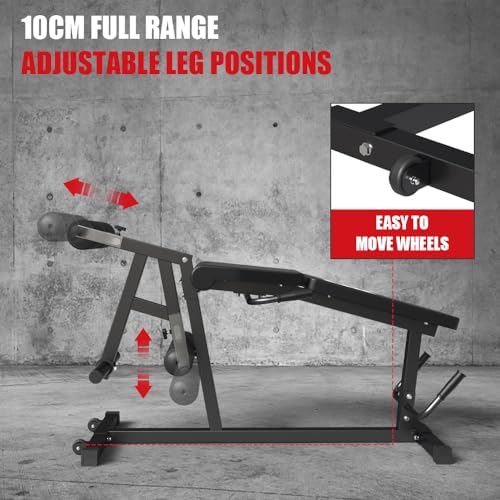 Leg Extension and Leg Curl Machine I232