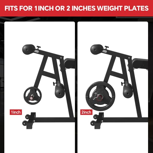 Leg Extension and Leg Curl Machine I232