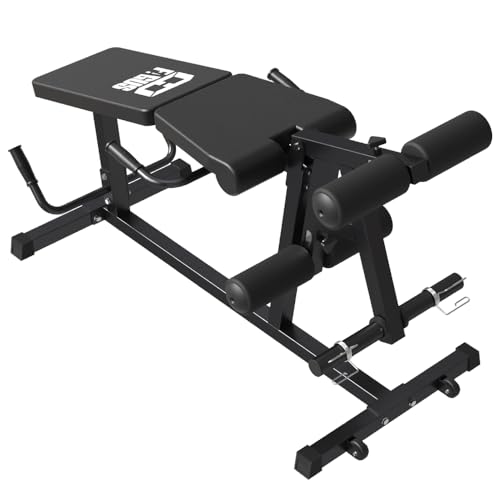 Leg Extension and Leg Curl Machine I232