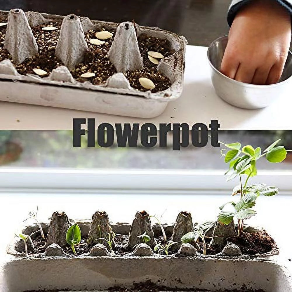 [18 Pack] Printed Pulp Egg Cartons V281