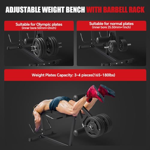 Leg Extension and Leg Curl Machine I232