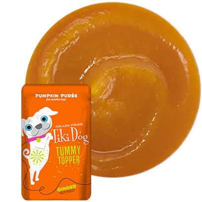 Pumpkin Ginger Dog Food Topper T16246