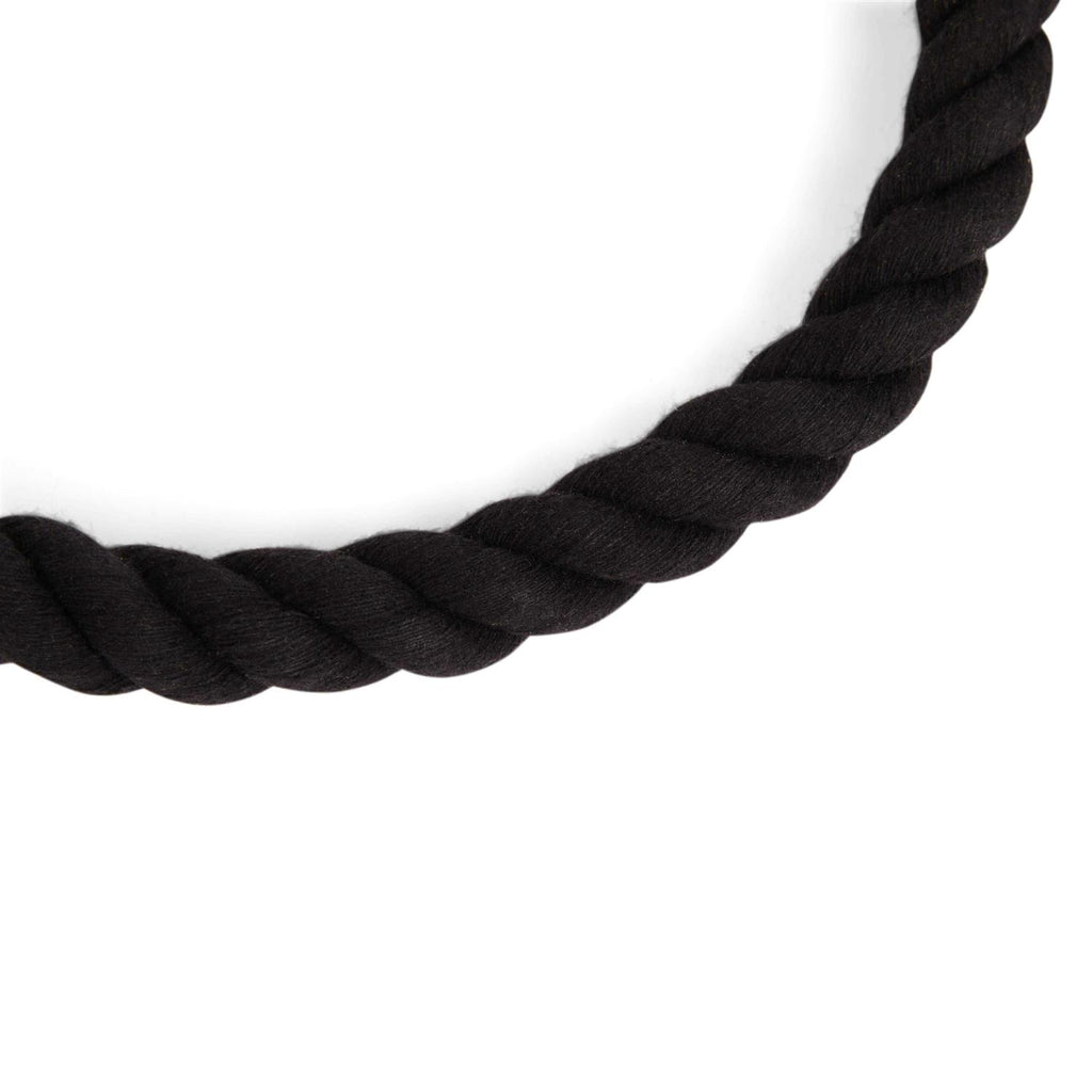 Pet Supplies I388363