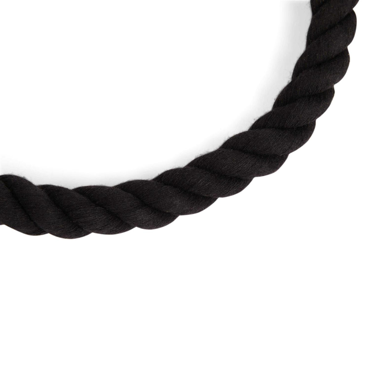 Pet Supplies I388363
