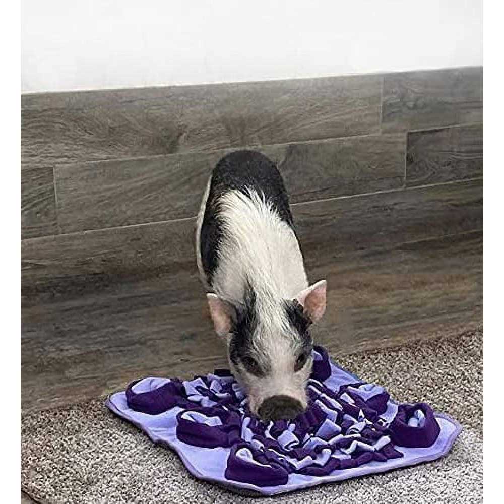Snuffle Mat D9418