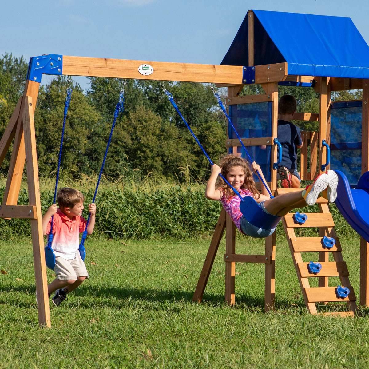 Wooden Cedar Swing Set W161