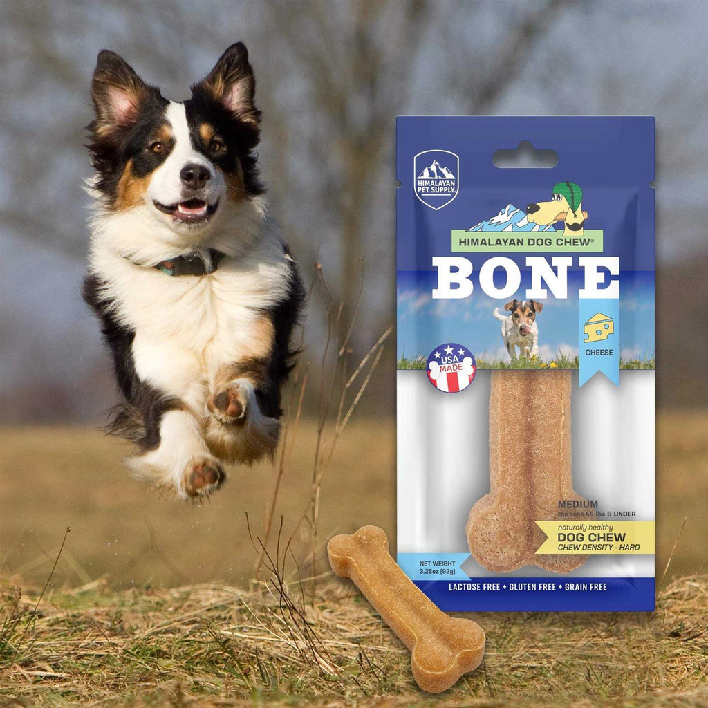 Dog Chew Bone A88943