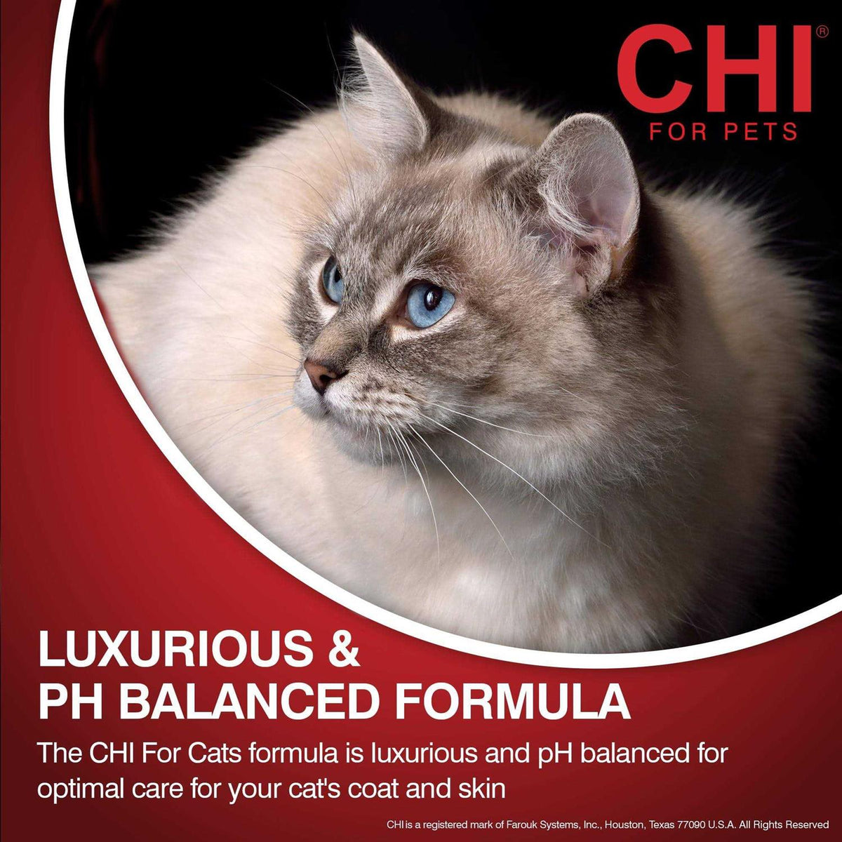 2-in-1 Conditioning Shampoo J64338