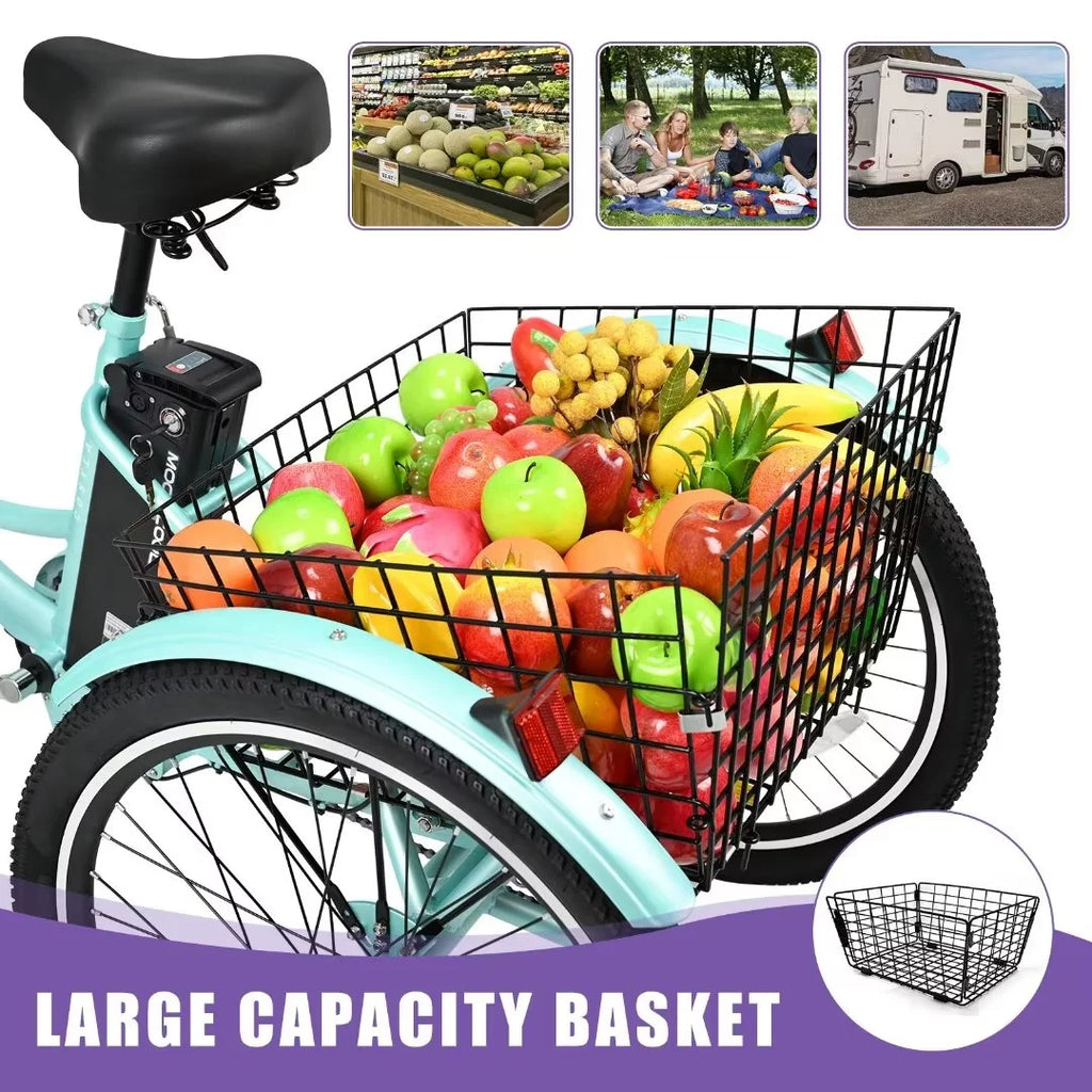 24" 350W 3 Wheel Electric Tricycle E533