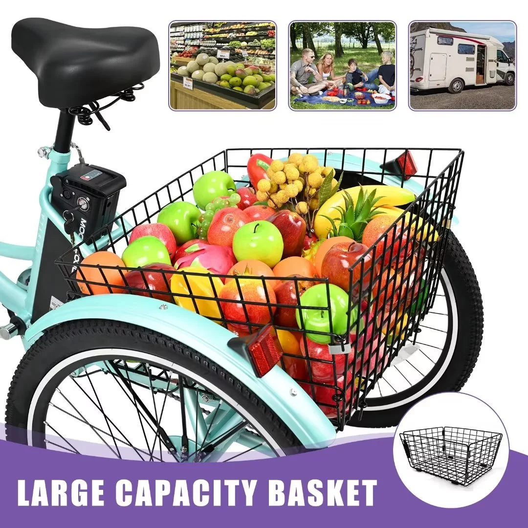 24" 350W 3 Wheel Electric Tricycle E533