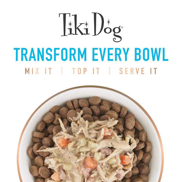 Pumpkin Ginger Dog Food Topper T16246