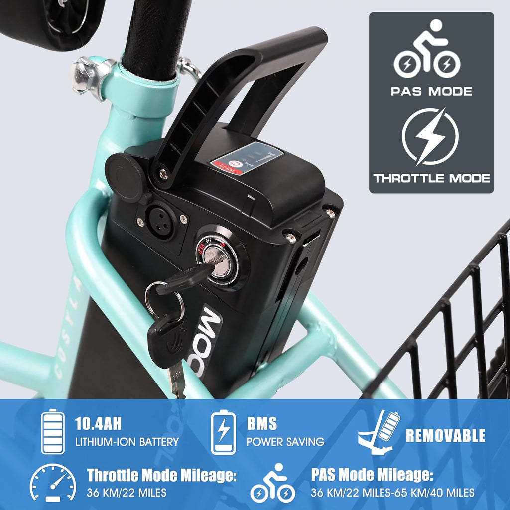 24" 350W 3 Wheel Electric Tricycle E533