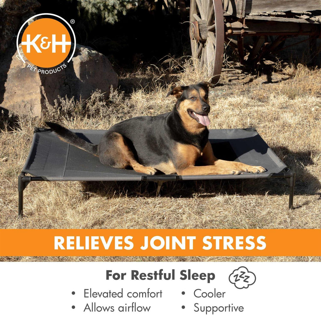 Elevated Pet Bed N704