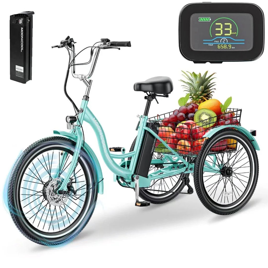 24" 350W 3 Wheel Electric Tricycle E533