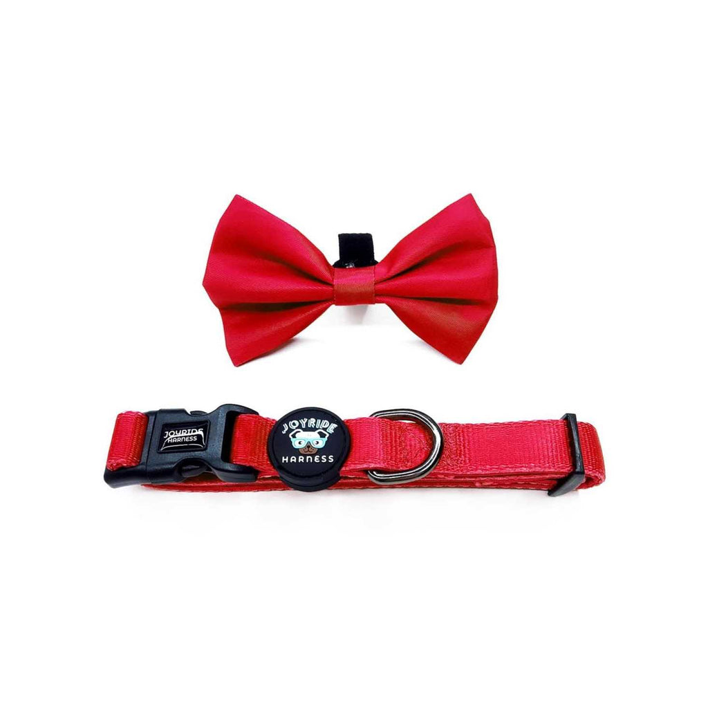 Dog Collar with Removable Bow Tie X833265