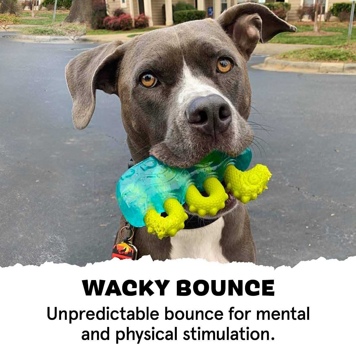 Durable Rubber & Nylon Dog Toys & Chews G397453
