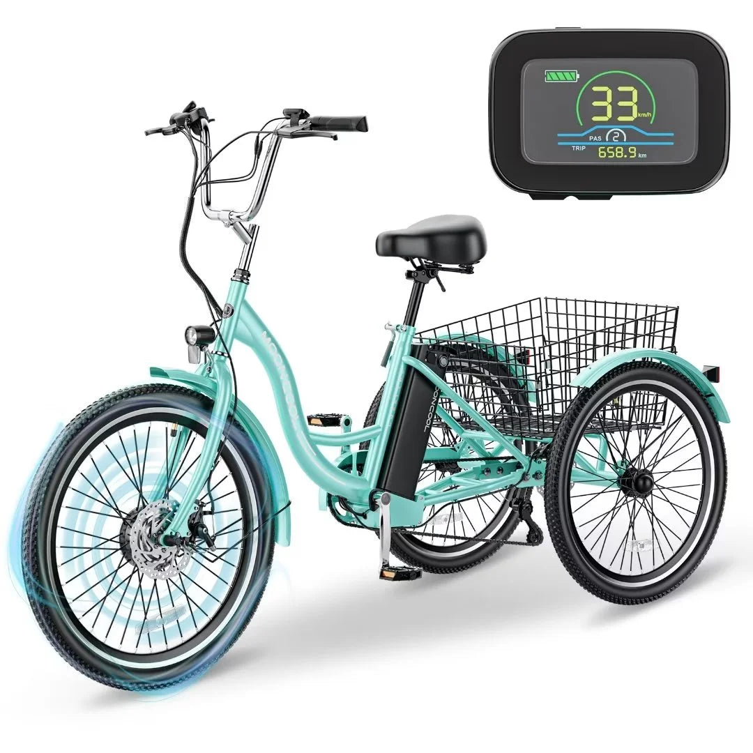 24" 350W 3 Wheel Electric Tricycle E533