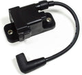CDM Ignition Coil Module Q675